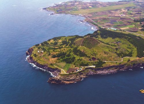Discover the wonders of Jeju: An island of natural beauty and unique experiences