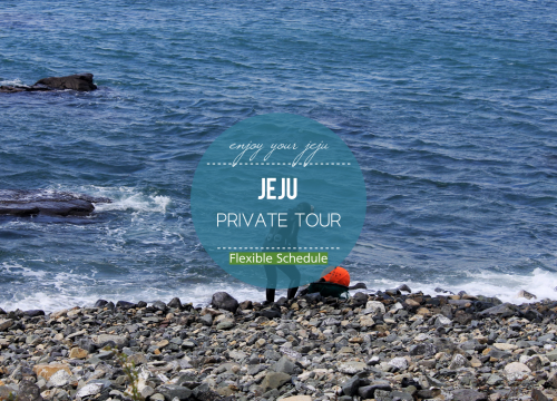 Jeju Island Private Car Charter Tours with Flexible Schedules