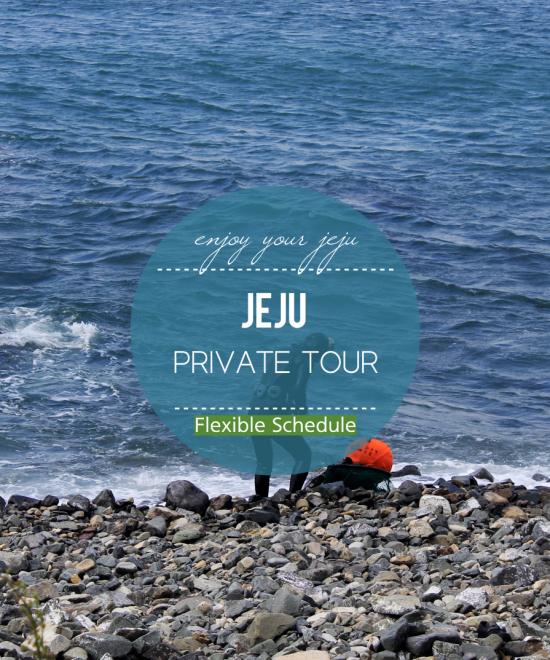 Jeju Island Private Car Charter Tours with Flexible Schedules
