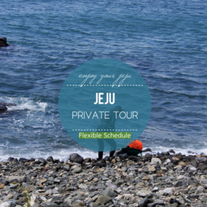 Jeju Island Private Car